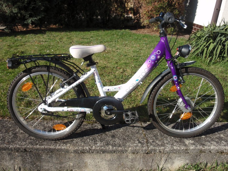 Sabotage Kids Design 20"